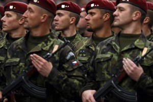 Чехия выступает за создание единой армии ЕС - ảnh 1